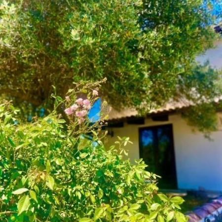 Camera Villa Sarda Aurora Elmas المظهر الخارجي الصورة