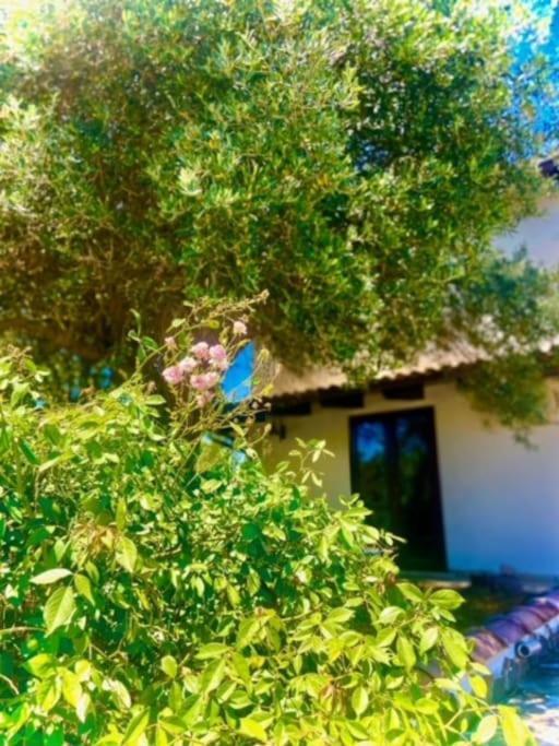 Camera Villa Sarda Aurora Elmas المظهر الخارجي الصورة